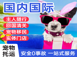 西庆机场货运国际宠物托运 【国